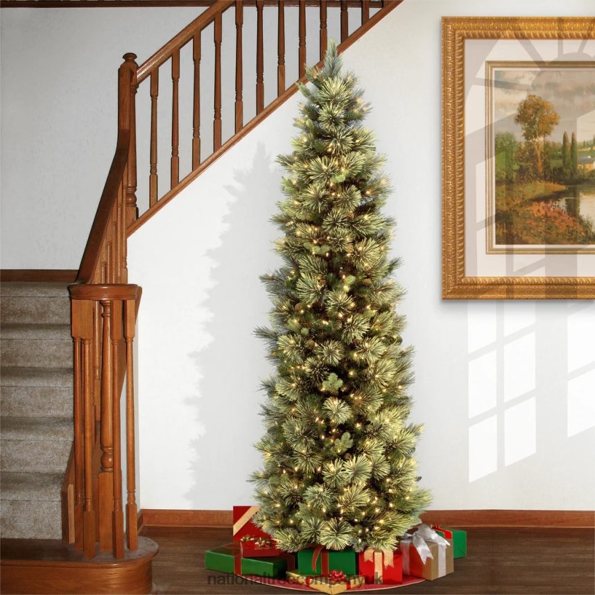 Trees | National Tree Company Pre-Lit Artificial Slim Christmas Tree Green Carolina Pine White Lights Includes Stand 75 feet F2L4F36
